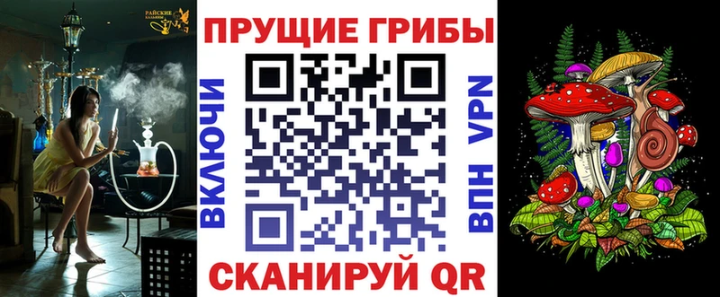 Псилоцибиновые грибы Psilocybe  Артём 